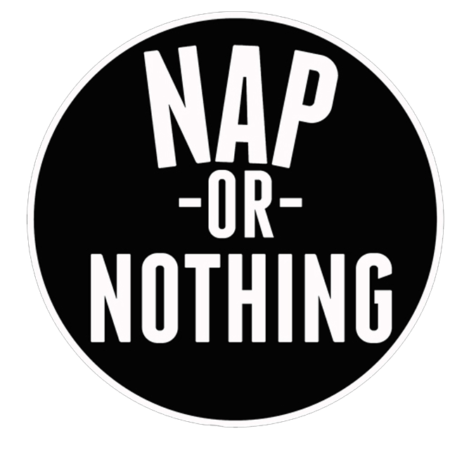 NapOrNothingLogo copy